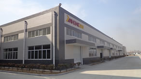 山东嘉恒药业简介